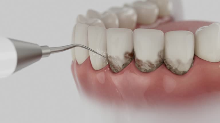 Reliable Dental contractor in Bourg, LA by Dentist Open Now